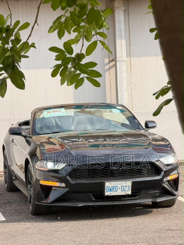 Ford Mustang EcoBoost Convertible 2019 Black