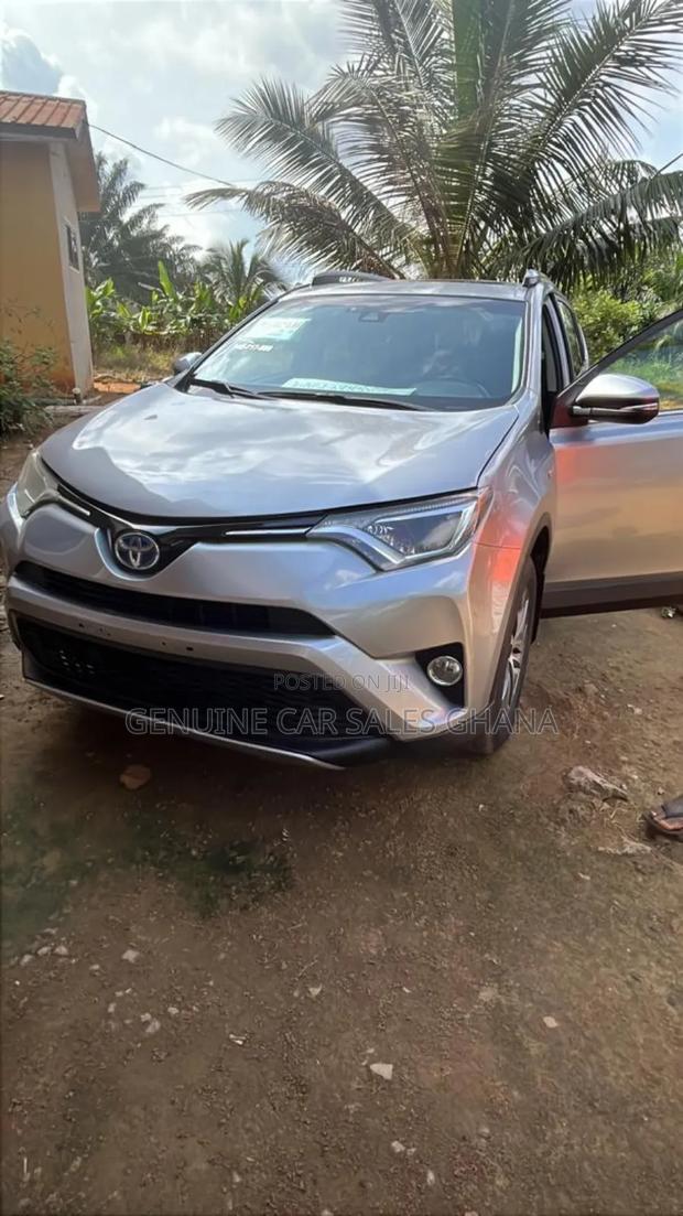 Toyota RAV4 XLE 4dr SUV (2.5L 4cyl 6A) 2018 Silver