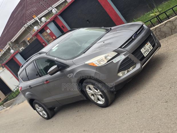 Ford Escape 2013 Gray