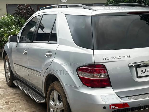Mercedes-Benz M Class 2010 Silver