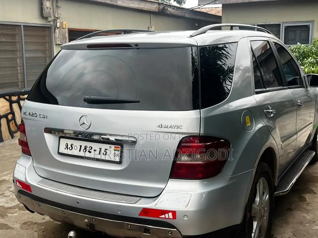 Mercedes-Benz M Class 2010 Silver