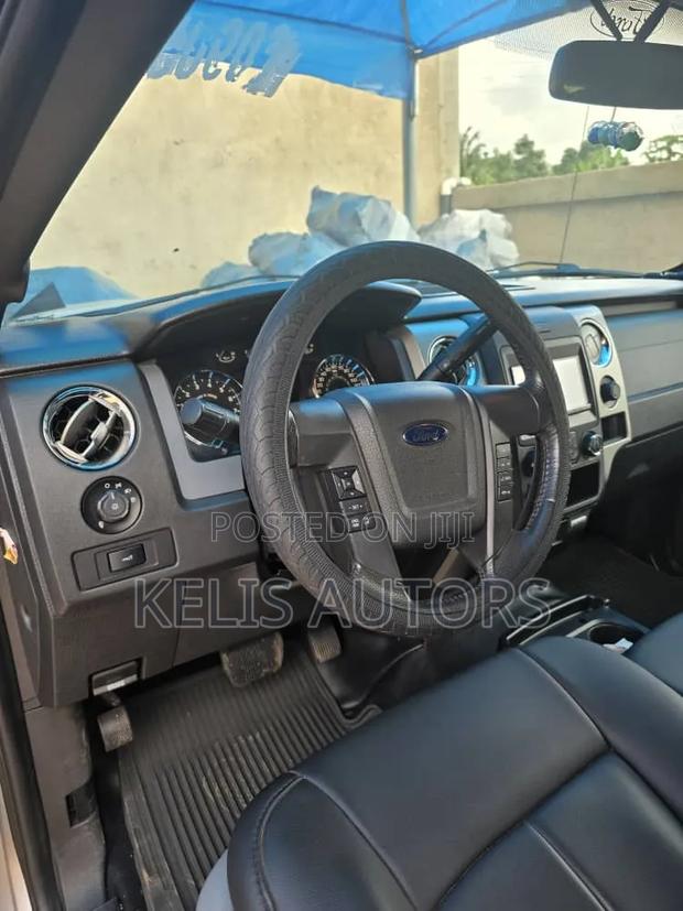 Ford F-150 2015 Silver