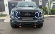 Ford F-150 2021 Gray for sale