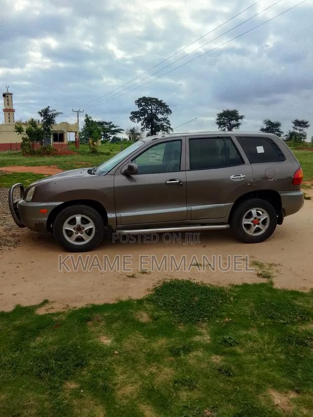 Hyundai Santa Fe 2005 Brown