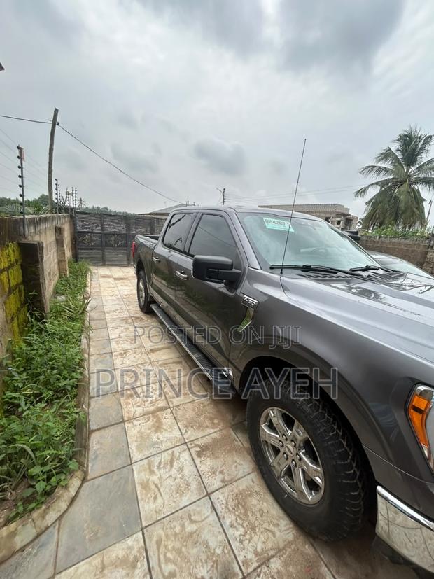 Ford F-150 XLT 2021 Gray