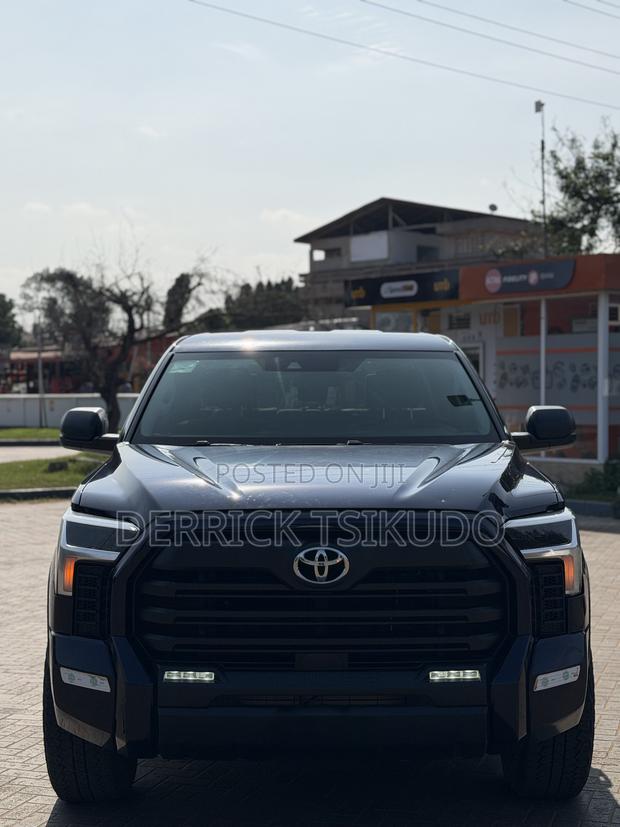 Toyota Tundra SR5 2022 Blue