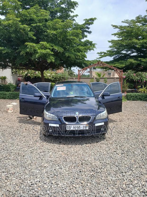 BMW 5 Series 2010 Blue