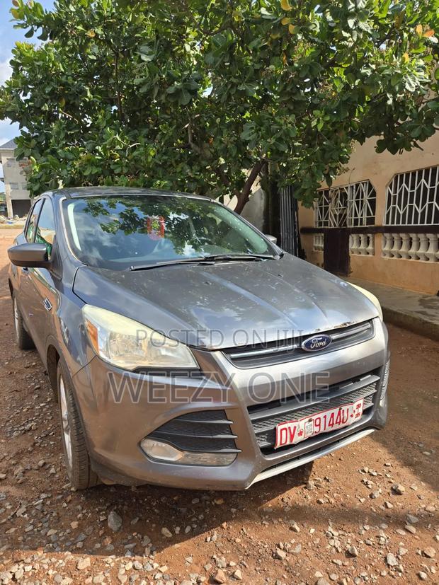 Ford Escape 2016 Gray