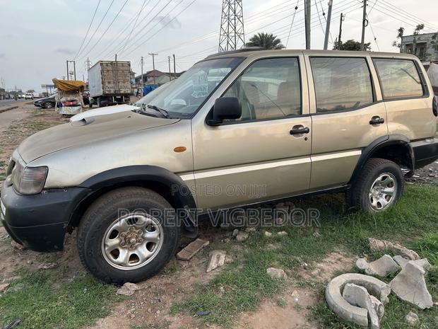Nissan Terrano 2004 Gold