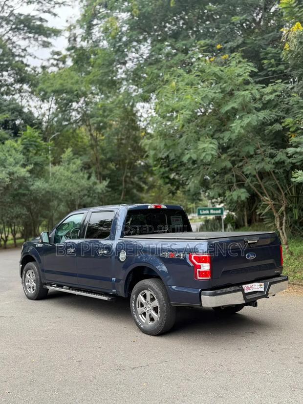 New Ford F-150 2019 Blue