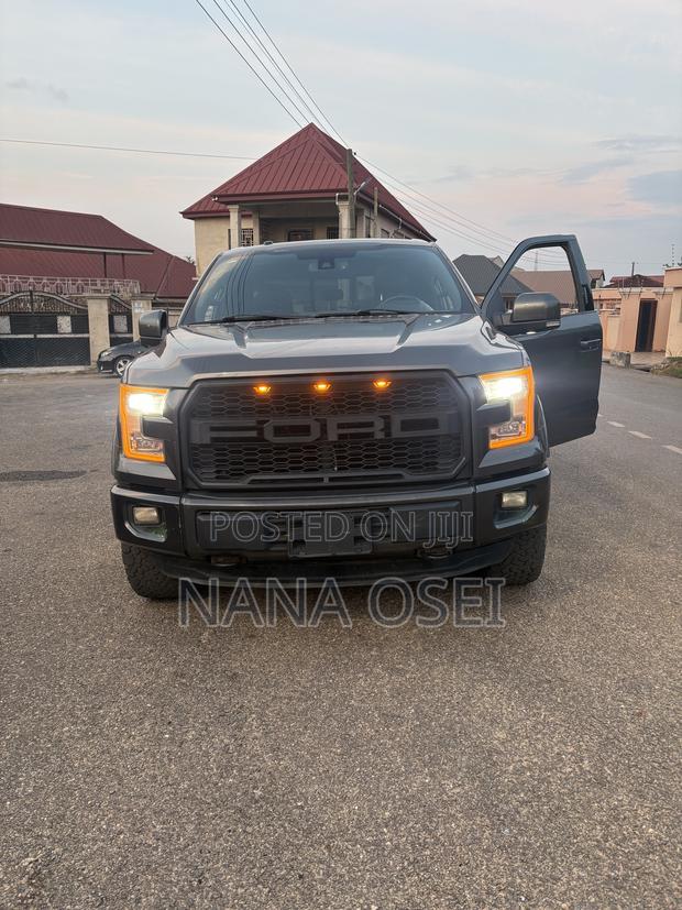 Ford F-150 2015 Gray