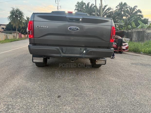 Ford F-150 2015 Gray