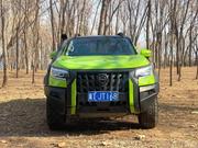 Dongfeng Rich 7 2023 Green for sale