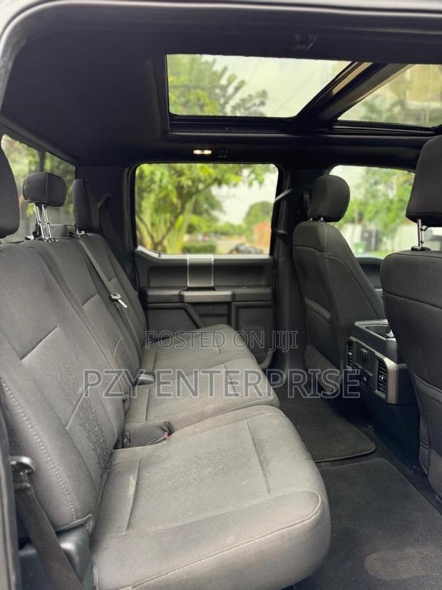 Ford F-150 2019 Gray