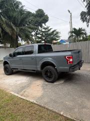 Ford F-150 2019 Gray for sale