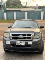 Ford Escape Limited 2010 Gray for sale