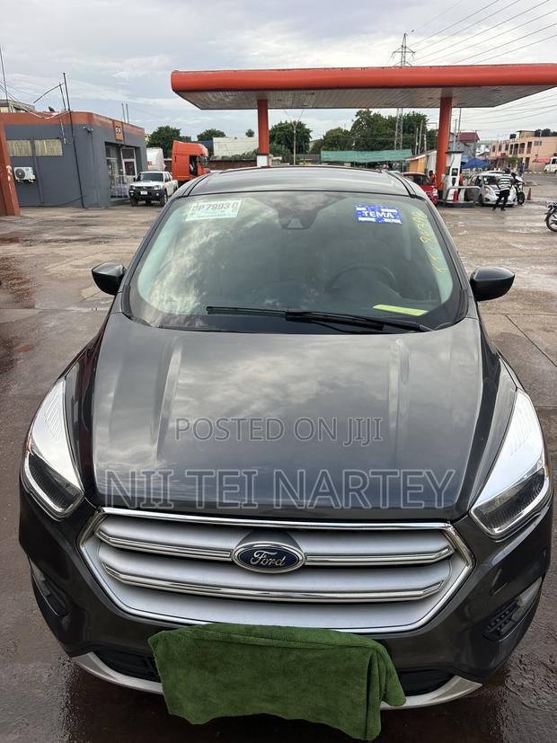 Ford Escape SE 4x4 2019 Gray