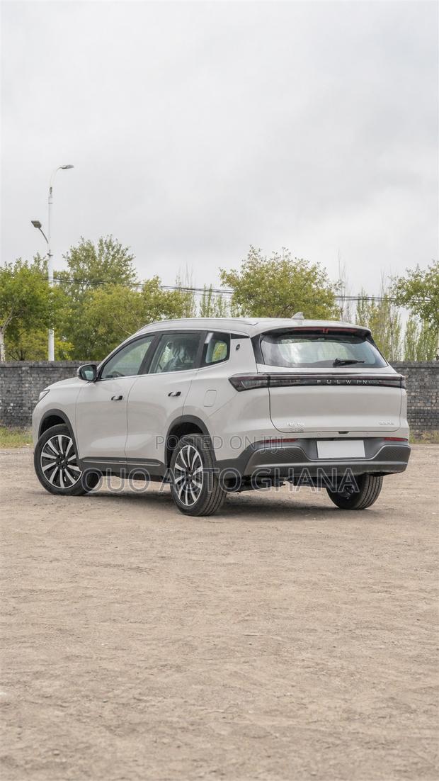 Chery Fulwin 2 2019 Gray