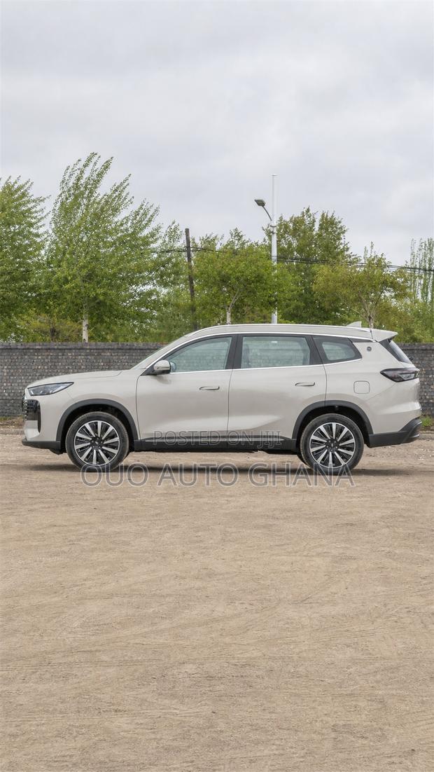 Chery Fulwin 2 2019 Gray