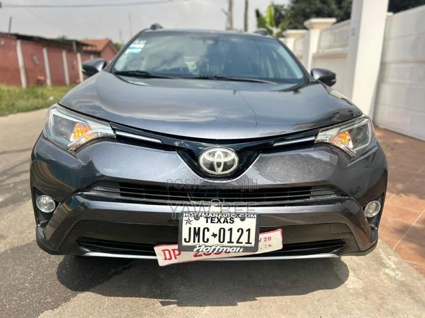 Toyota RAV4 XLE 4dr SUV AWD (2.5L 4cyl 6A) 2018 Gray