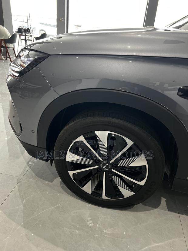 BYD Song Plus 2025 Gray