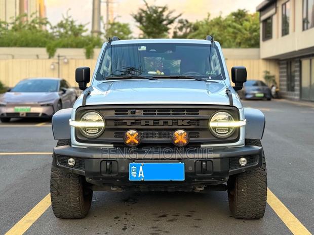 Wey Tank 300 2024 Blue