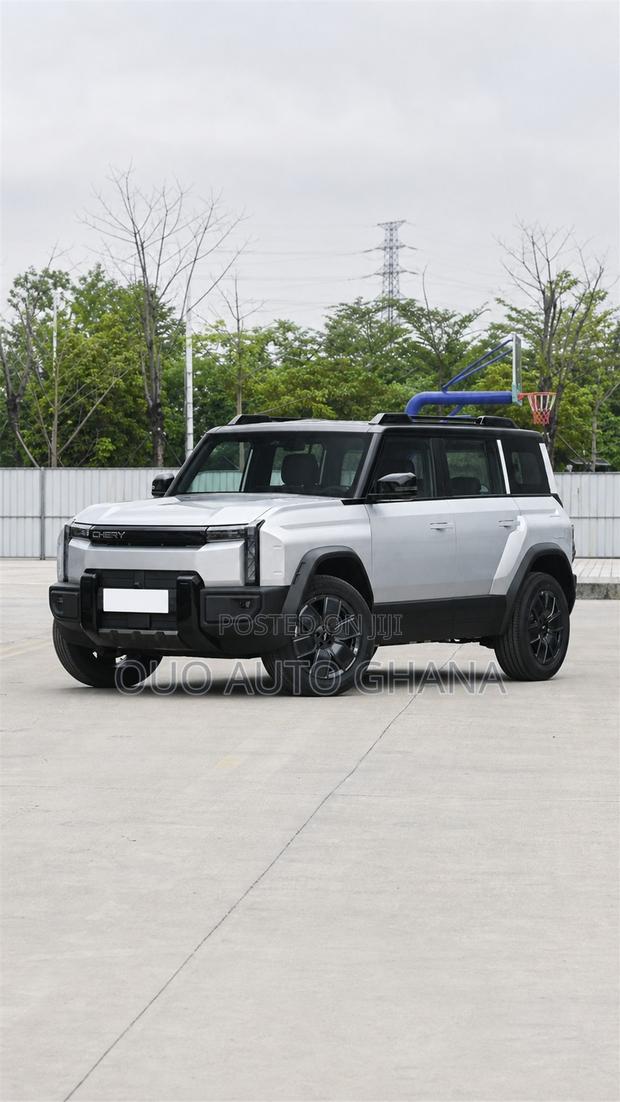 Chery Fulwin 2 2019 Gray