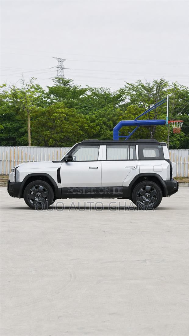 Chery Fulwin 2 2019 Gray
