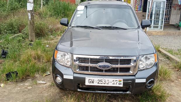 Ford Escape 2009 Gray
