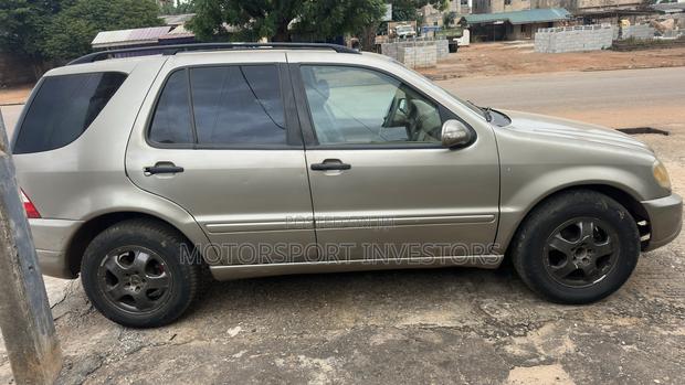 Mercedes-Benz M Class ML 320 2003 Gray