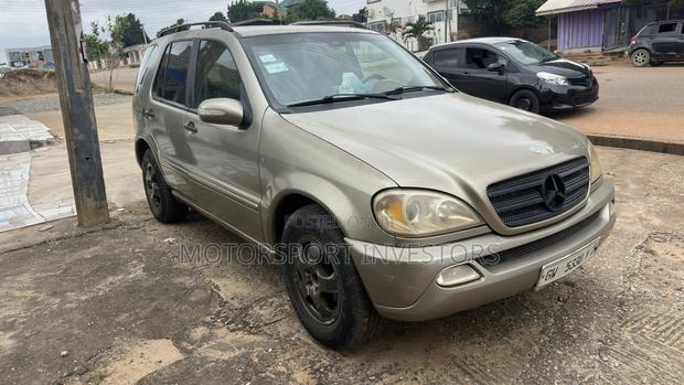 Mercedes-Benz M Class ML 320 2003 Gray