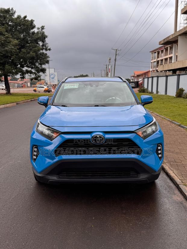 Toyota RAV4 XLE AWD 2019 Blue