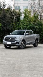 Great Wall Pao 2025 Gray for sale