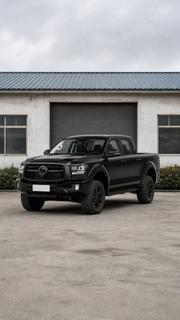 Great Wall Pao 2025 Black for sale
