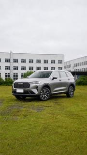 Haval H6 2025 Gray for sale