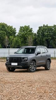 Haval Big Dog 2025 Gray for sale