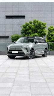 Wey Lanshan 2026 Green for sale