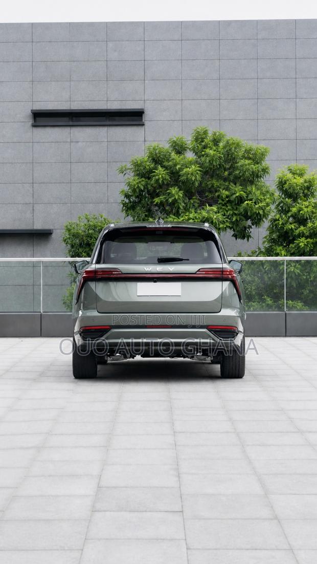 Wey Lanshan 2026 Green