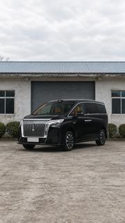 Wey Mocha 2026 Black for sale