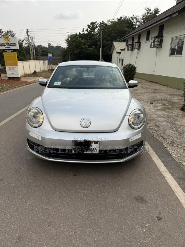 Volkswagen Beetle 1.8T 2dr Hatchback (1.8L 4cyl Turbo 5M) 2015 Silver
