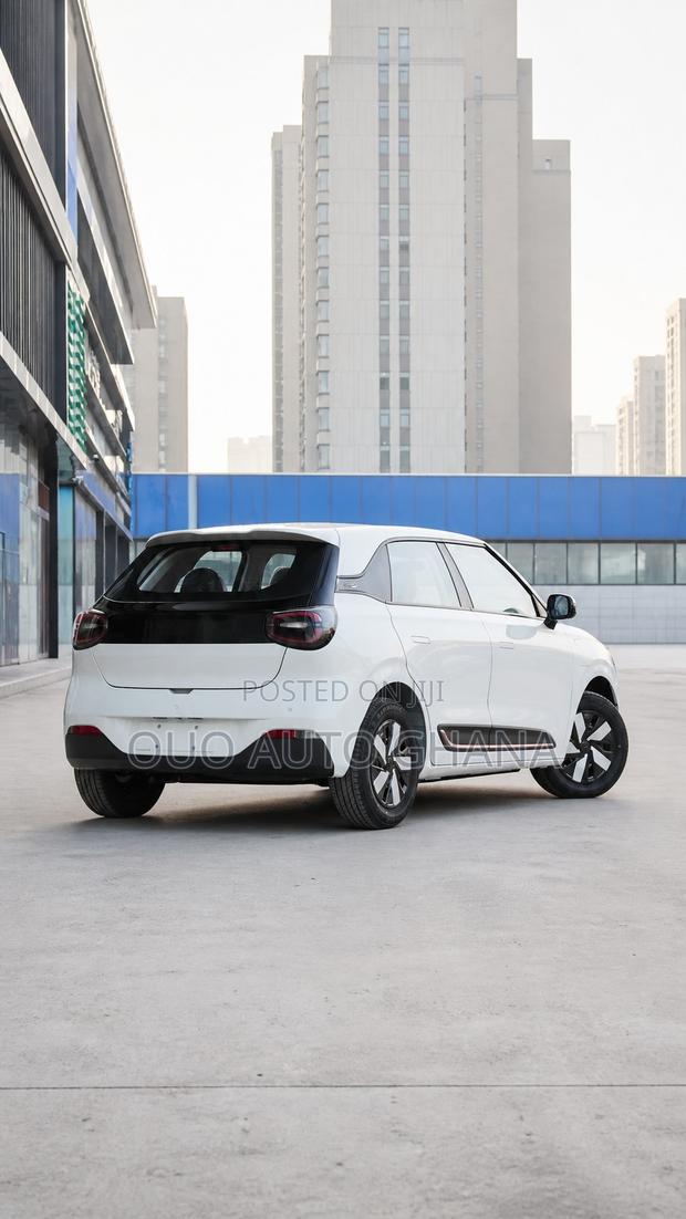 Dongfeng Nammi 01 2025 White