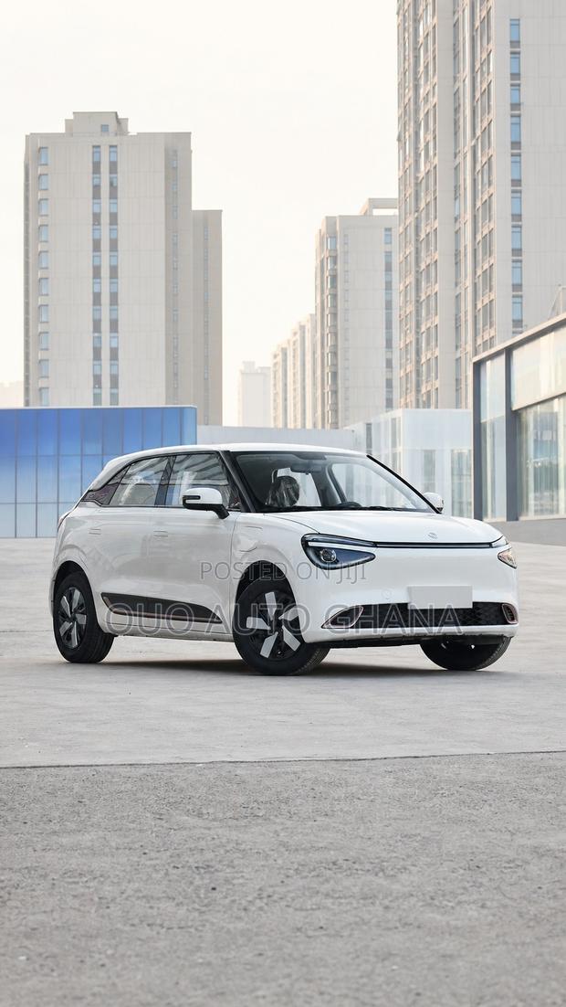 Dongfeng Nammi 01 2025 White