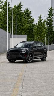 Dongfeng Captain 2025 Black for sale