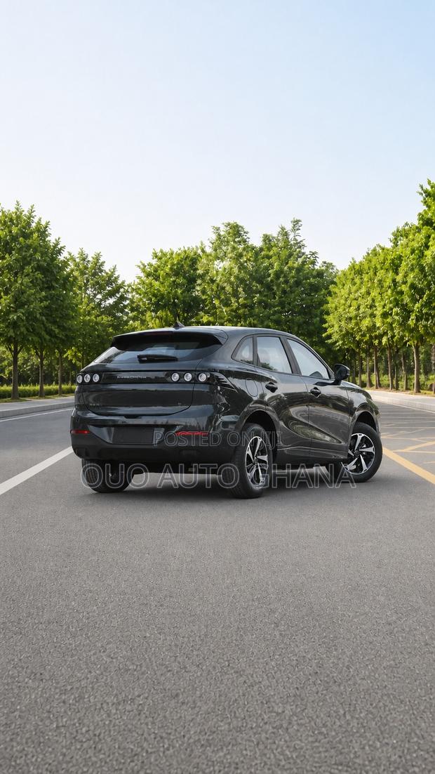 Forthing Leiting 2024 Black