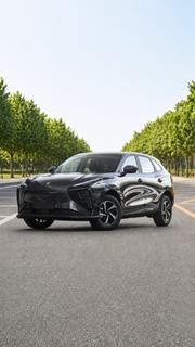 Forthing Leiting 2024 Black for sale