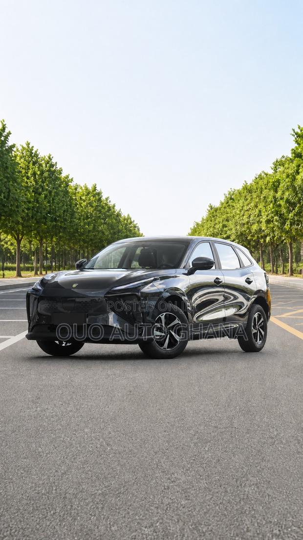 Forthing Leiting 2024 Black