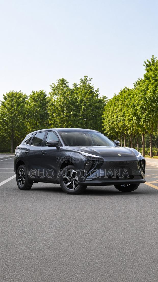 Forthing Leiting 2024 Black