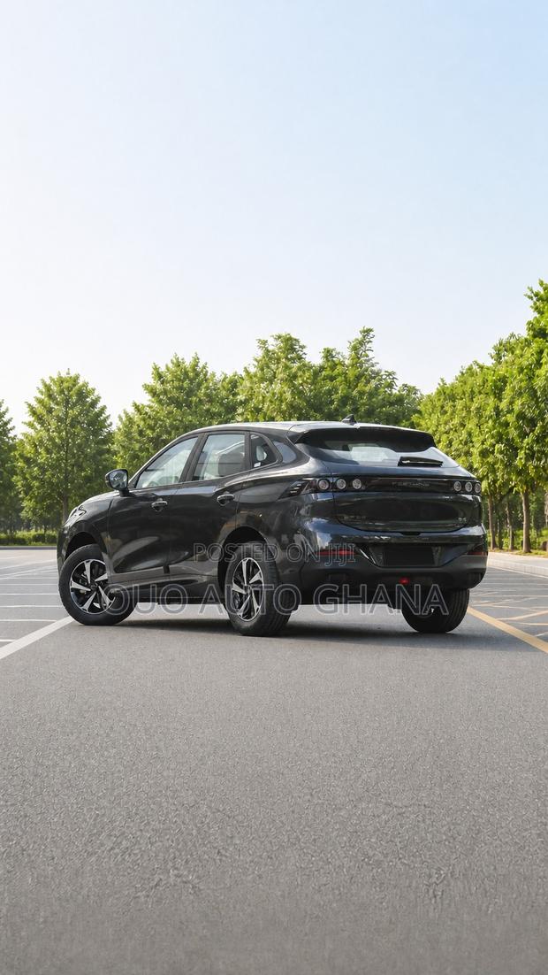 Forthing Leiting 2024 Black