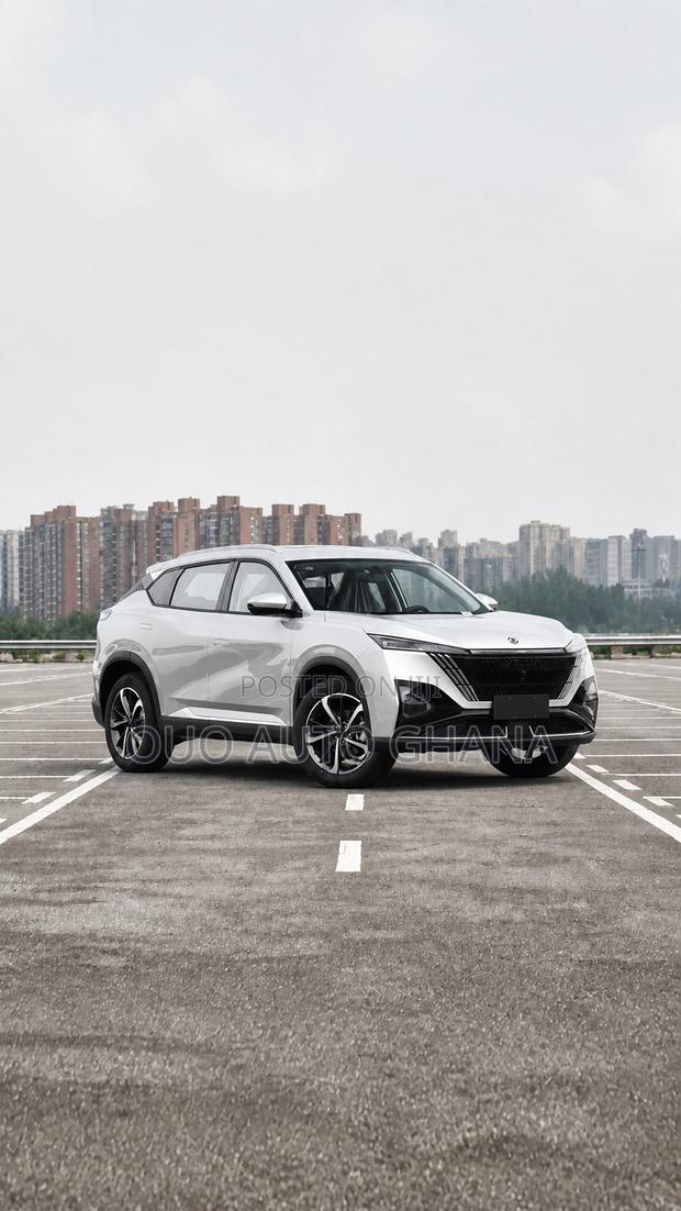 Aeolus Haohan 2023 Gray