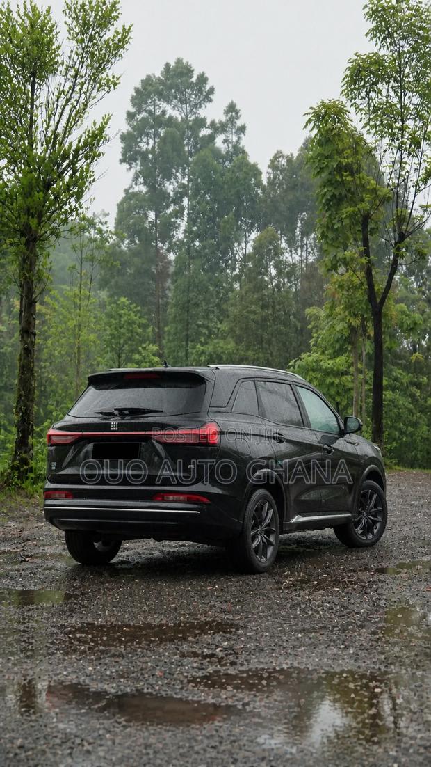 Dongfeng Rich 7 2024 Black
